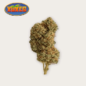 Mandarin Haze CBD > Xuxes